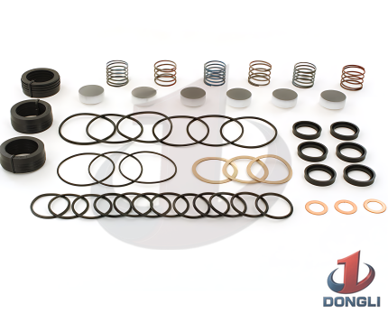 FLUID END REPAIR KIT; C35-20-DV